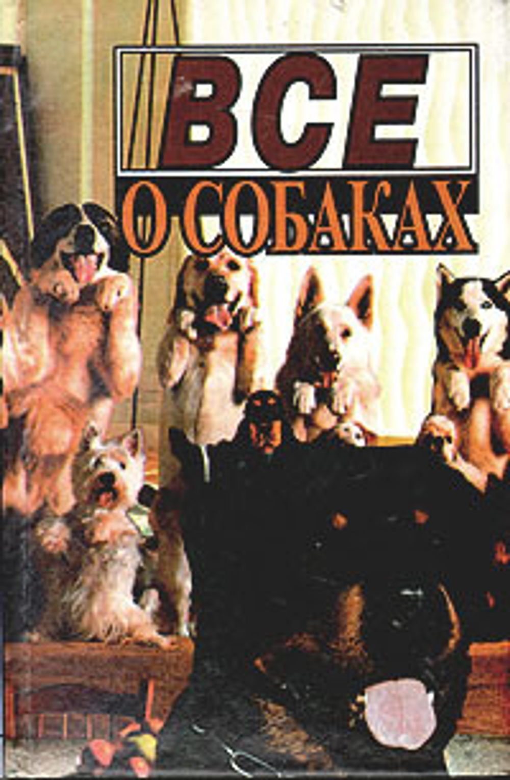 Все о собаках