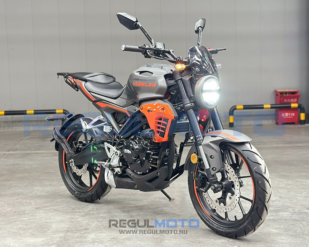 Мотоцикл Regulmoto Nibbler