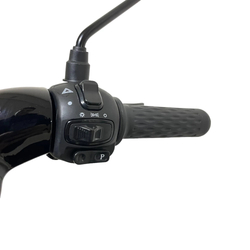 Электроскутер Skyboard Yalta 1200W Black