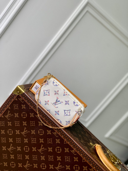 Louis Vuitton Mini Pochette Accessoires
