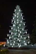 Светодинамическая елка ствольная со скамейкой, встроенная гирлянда: Холодный свет - "Лесная" Литая хвоя - от 6 до 18 м