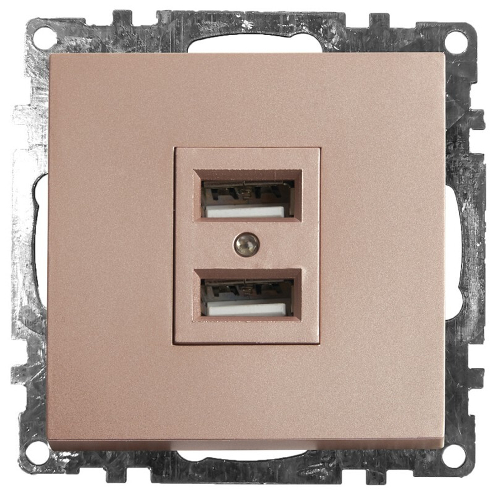 Розетка 2-местная USB  механизм . 250В. 2.1А. серия Катрин. GLS10-7115-02. шампань