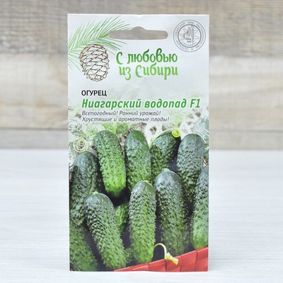 ОГУРЕЦ Ниагарский водопад F1 скороспелый (0,25) ЛЮКС Цв.пак. (10шт)