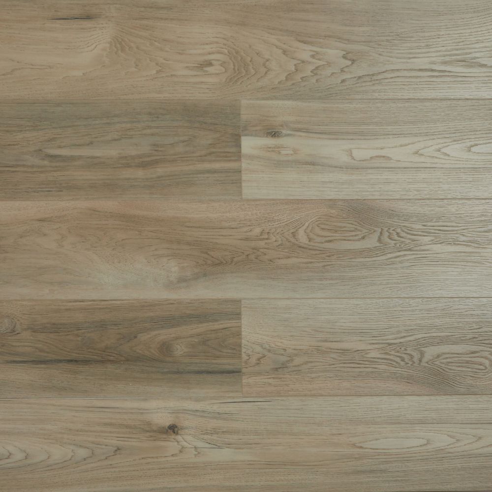 Shelty Дуб Чин, 2,2 м²