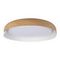 Потолочный светодиодный светильник Loft IT Coin 10198 White