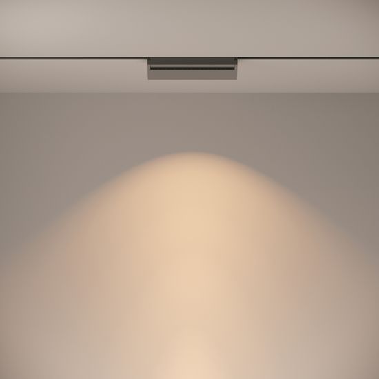 Трековый светильник Technical TR013-2-20W3K-B