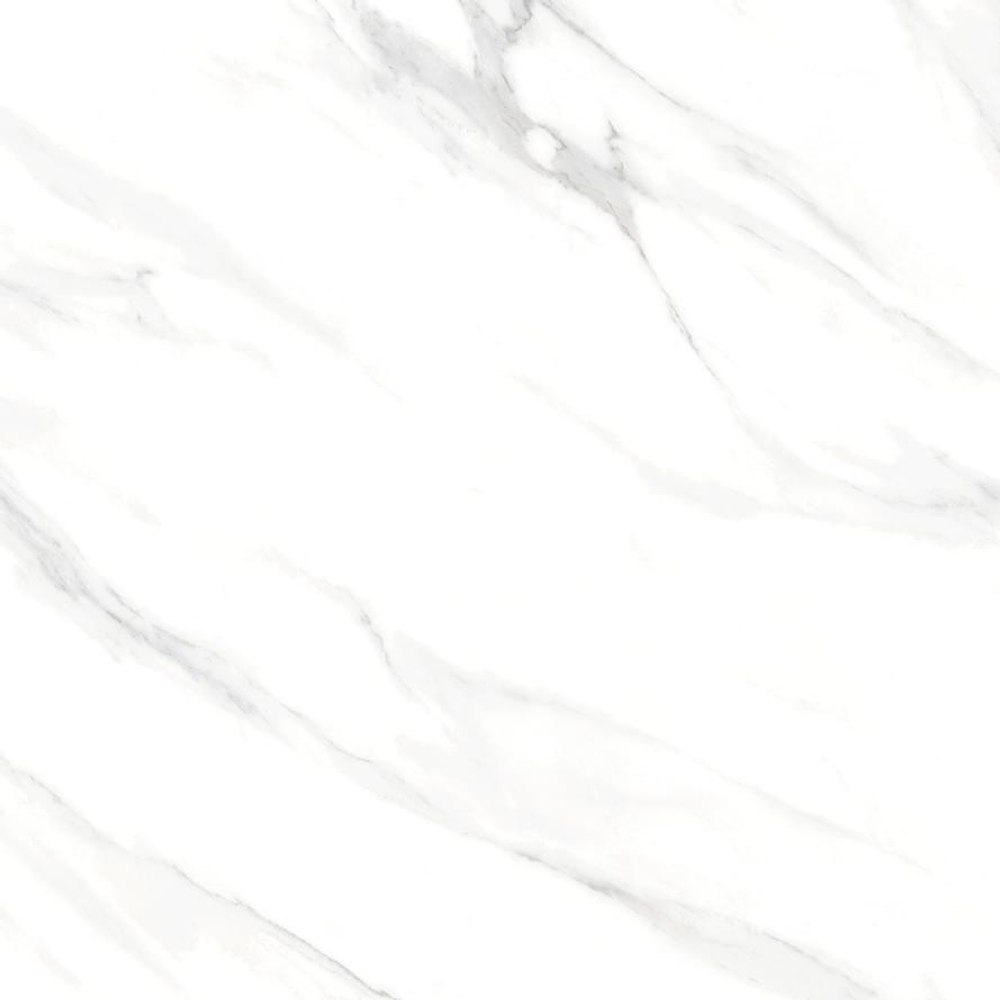 Neodom Classic Marble Statuario Royal Matt 120x120