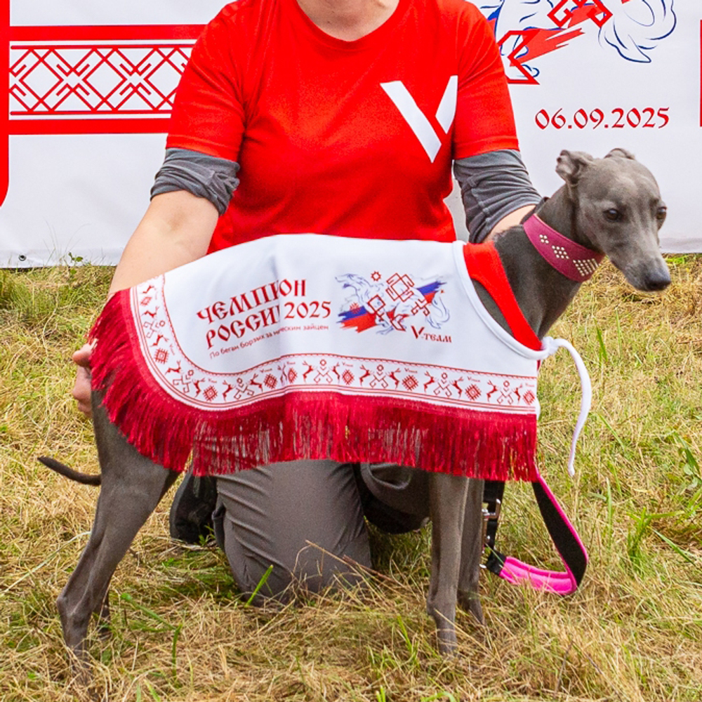 Попона наградная с индивидуальным дизайном