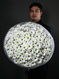 Моно букет из 25 хризантем ромашка