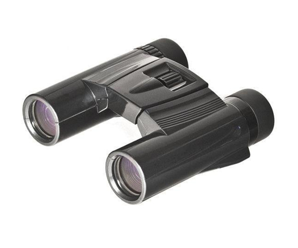 Бинокль KENKO Ultra View 10x25 DH Black - фото 1