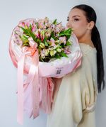 Альстромерия "M"