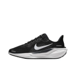 Детские кроссовки Nike Air Zoom Pegasus 41 'Black Anthracite White' FN5041-001