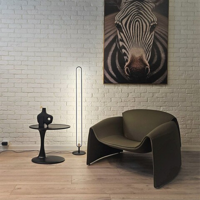 Торшер Oval Led Floor Lamp