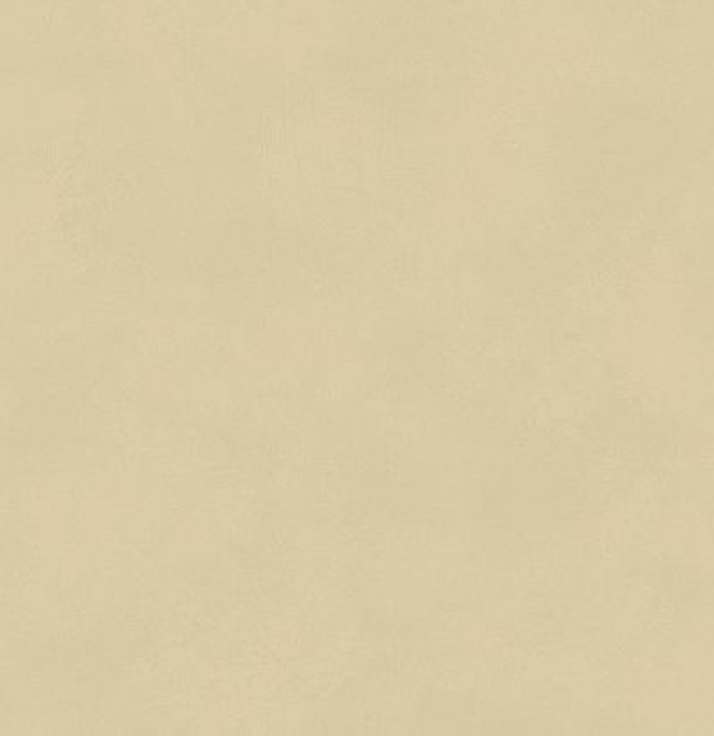 Обои матовые с иммитацией штукатурки BLONE1008