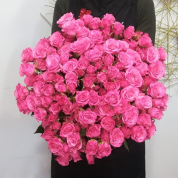Букет из 21 кустовых роз Розовый фламинго