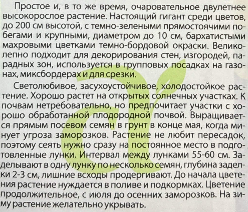 Шток-роза Темно-бордовая 0,1 г СМЦ-566