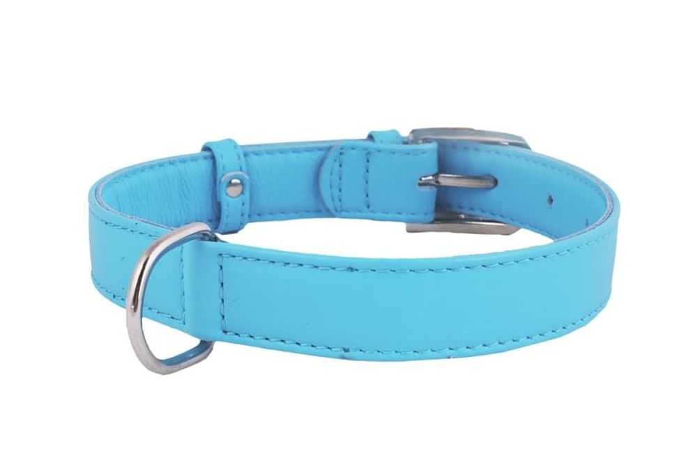 Ошейник "CoLLaR Glamour" без украшений синий ширина 25мм, длина 38-50см