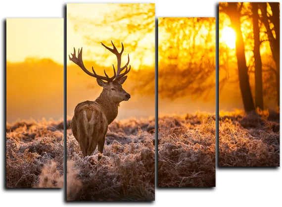 Модульная картина "Одинокий олень"