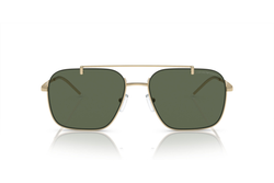 Emporio Armani EA2150 301371