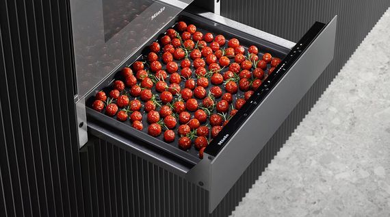 Встраиваемый подогреватель Miele ESW 7010 125 Gala Ed