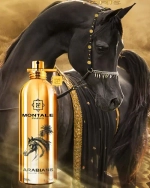 Montale Arabians EDP