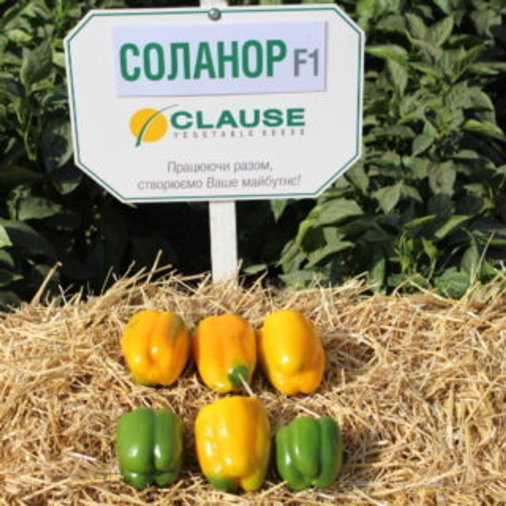 Перец Соланор F1 (50шт) Витагрин Профи