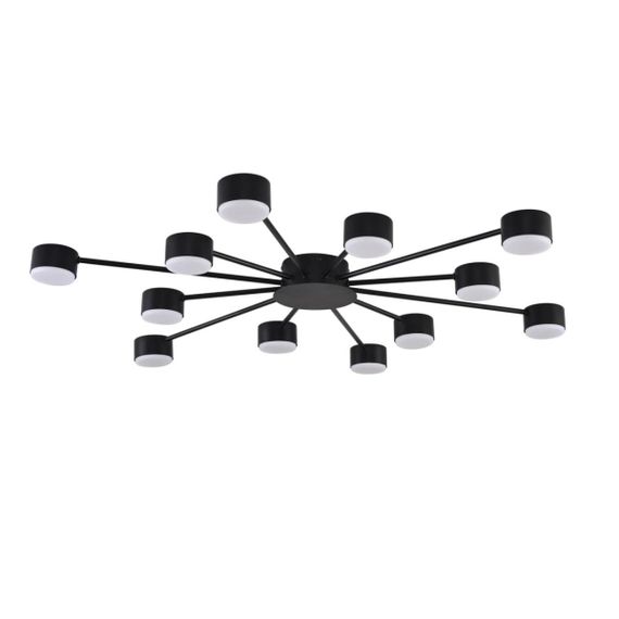 Люстра Lumion COMFI 8344/12C