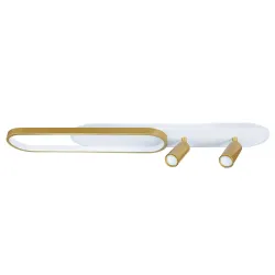 Потолочный светильник Arte Lamp