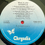 Divinyls ‎– What A Life! (Канада 1985г.)