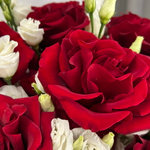 Элегантный букет бордовая французская Роза и эустома