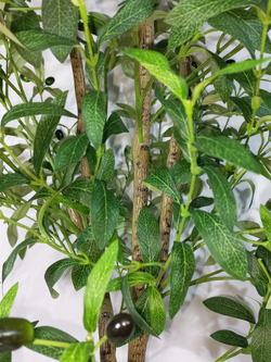 Искусственное Оливковое дерево 180см в кашпо