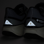 Кроссовки Nike Pegasus 41 Gtx Grey Brown