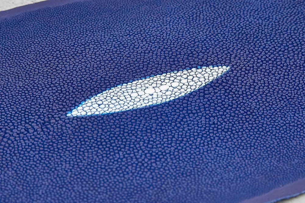 Кожа ската 230х120мм (синяя)