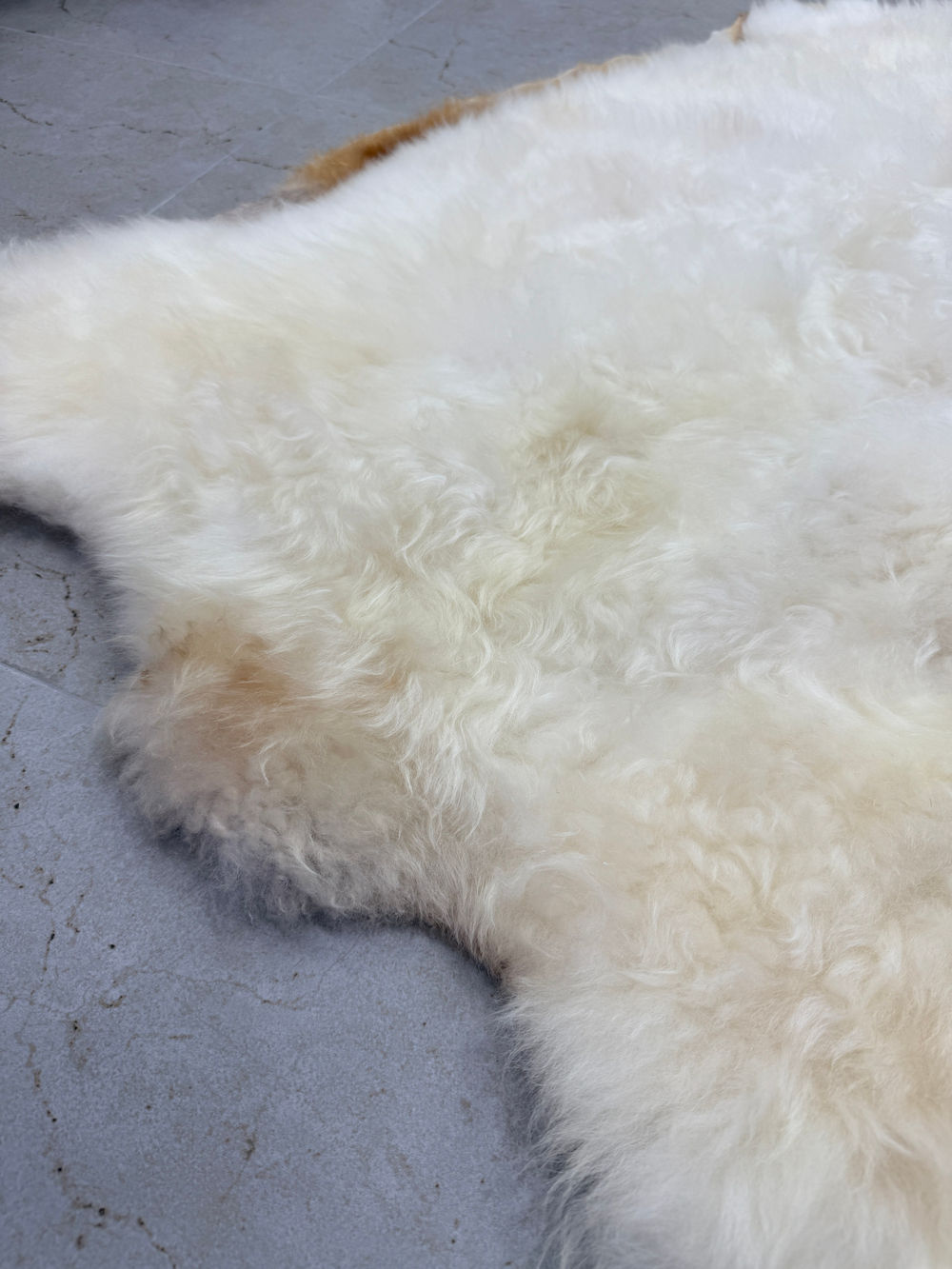 Шкура коврик меховой прикроватный овчина, 120х65 см.
