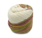 Пряжа Laines du Nord Slippers (14)