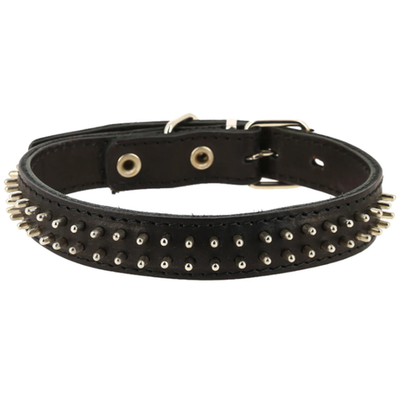 Ошейник кожаный двойной с шипами-ёж 30 мм (обхв.шеи 44-53см)