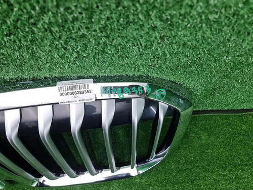 Решетка радиатора BMW X7 G07 (2019-2022)