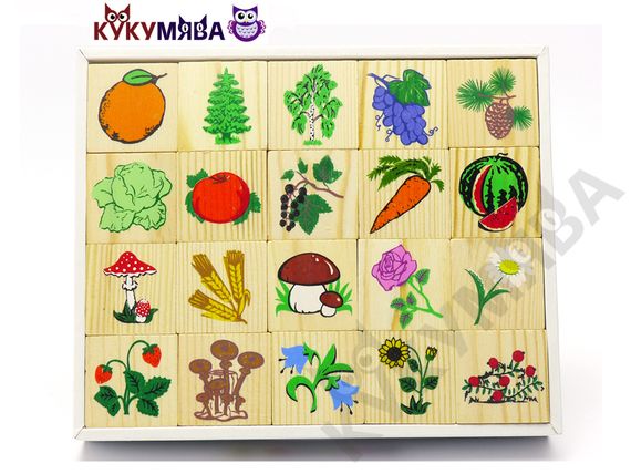 Лото &quot;Растительный мир&quot;