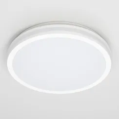 CL711020V LUNS Белый Св-к 24W IP64