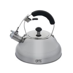 Чайник для плиты Gipfel Cosmo 8600 2,5 л