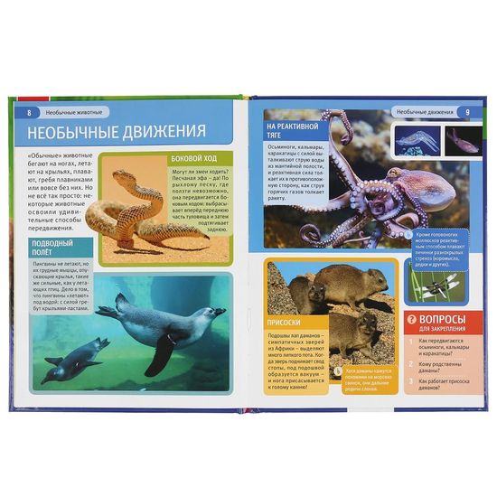 Энциклопедия А4 с развивающими заданиями.Необычные животные. 197х255мм. 48 стр. Умка