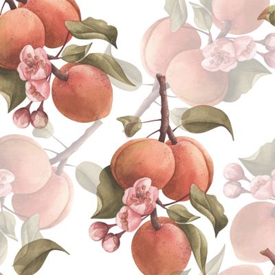 Абрикосы цветут