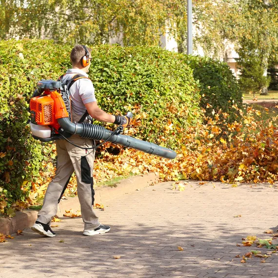 Воздуходув "DAEWOO" DABL 760