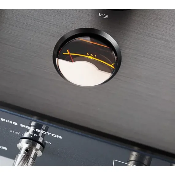 Cayin M-845D
