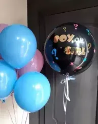 Шары на гендер-пати №11