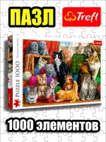Пазлы для детей и взрослого 1000 элементов Кошачья встреча