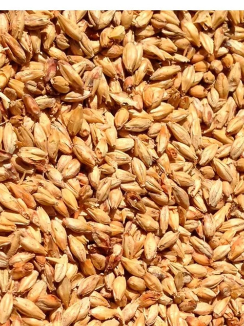 Солод ячменный пивоваренный Мюнхенский 15 / Munich 15, 12-18 EBC (Soufflet) Россия