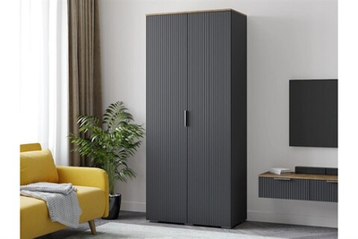 Распашной двухсекционный шкаф Салерно 2 (МДФ) SF-019 Графит Серый графит 0162 РЕ 90*50*212 см, Серый   Фиеста