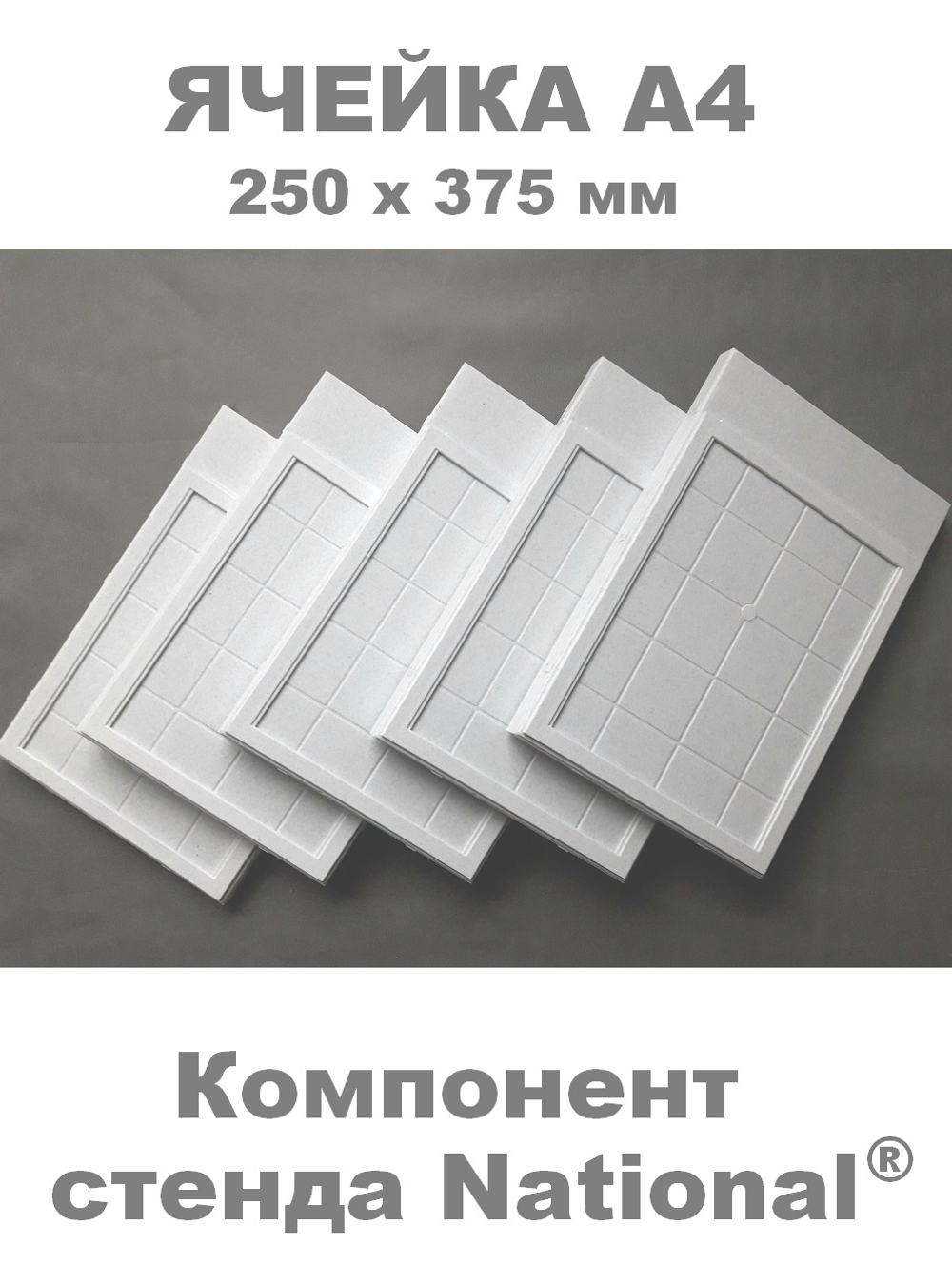 Компонент комплекта оборудования ЗОЖ NATIONAL