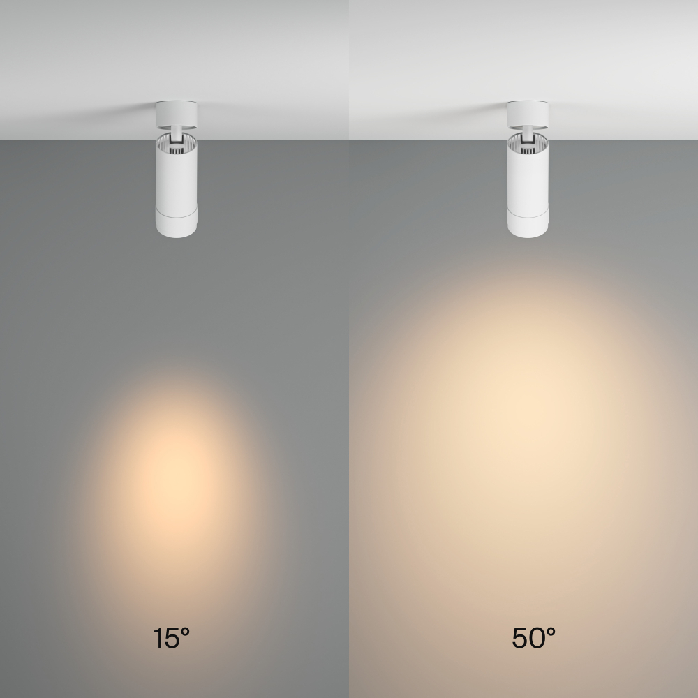 Потолочный светильник Technical C055CL-L12W3K-Z-W